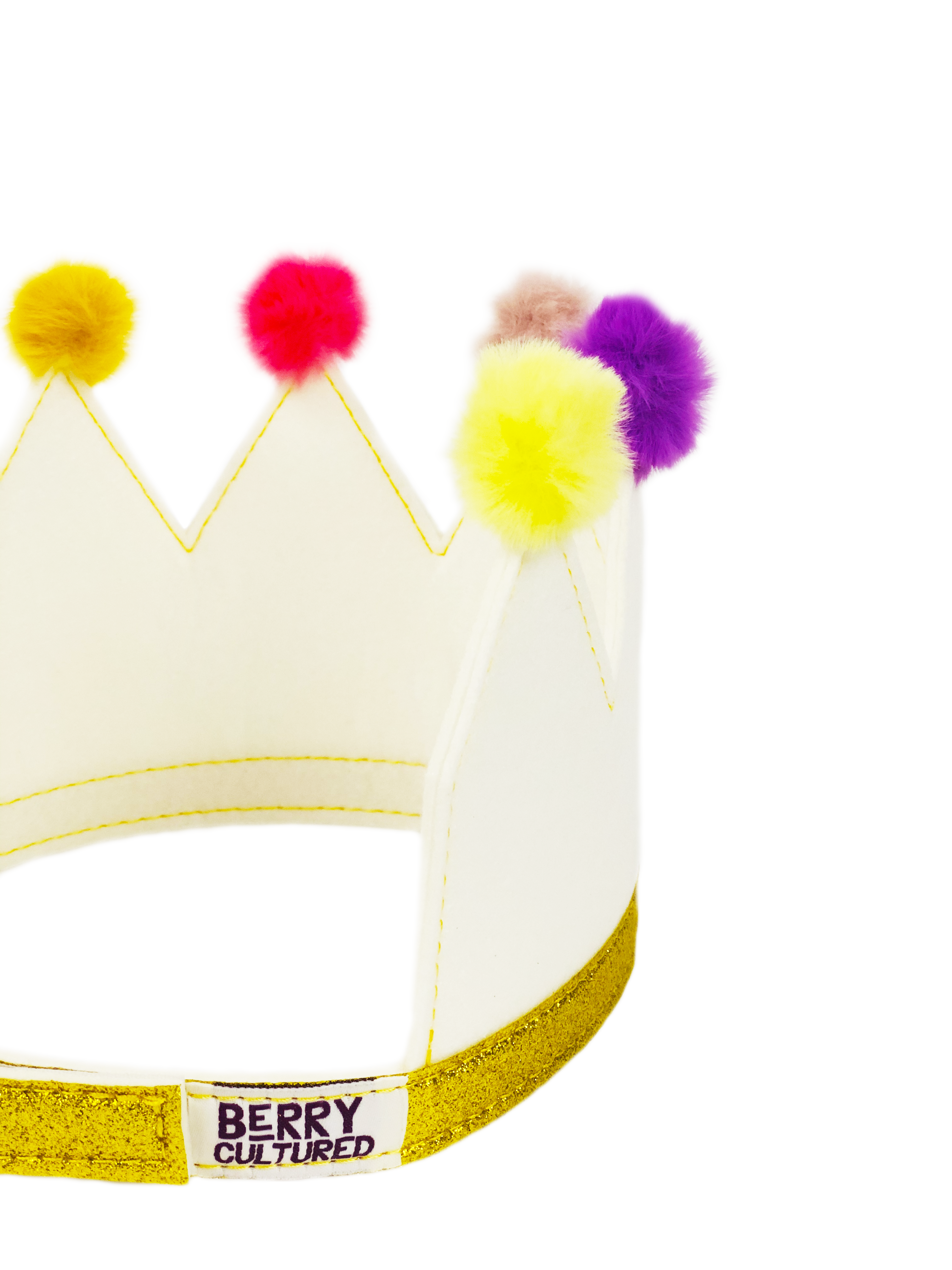 Pom Pom Princess Party Crown